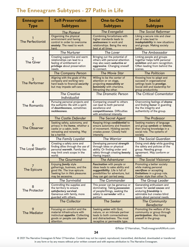 gold and white chart with dark letters describing the 27 subtypes