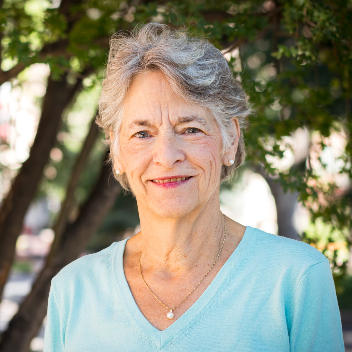 Terry Saracino is a member of The Narrative Enneagram Core Faculty